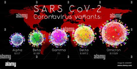b beta coronavirus